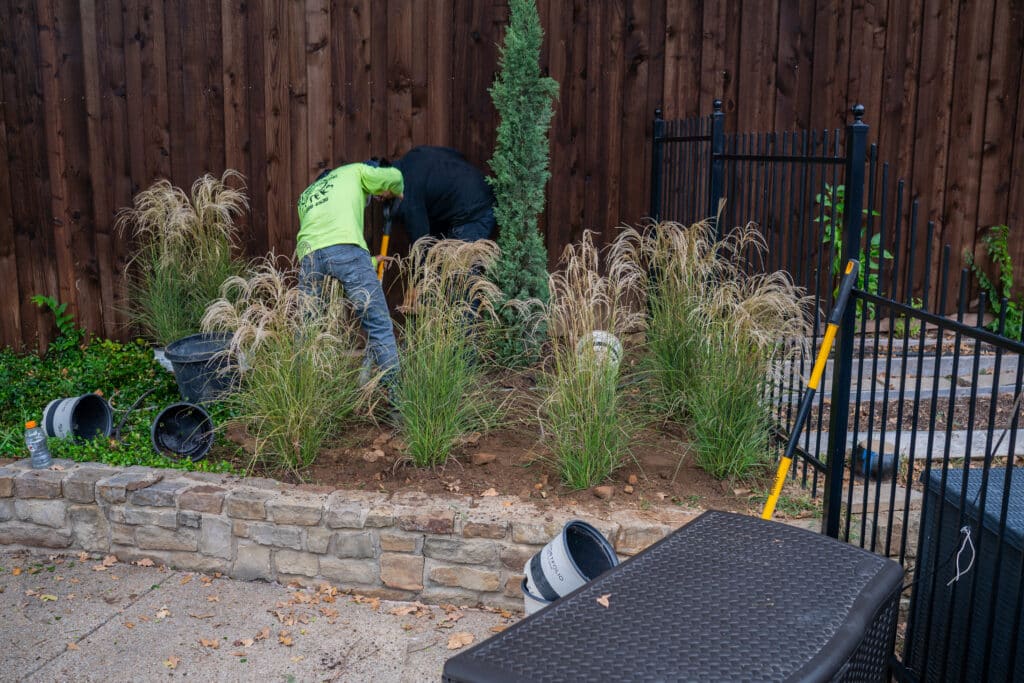 Landscape Cleanups project 4 in North Richland Hills