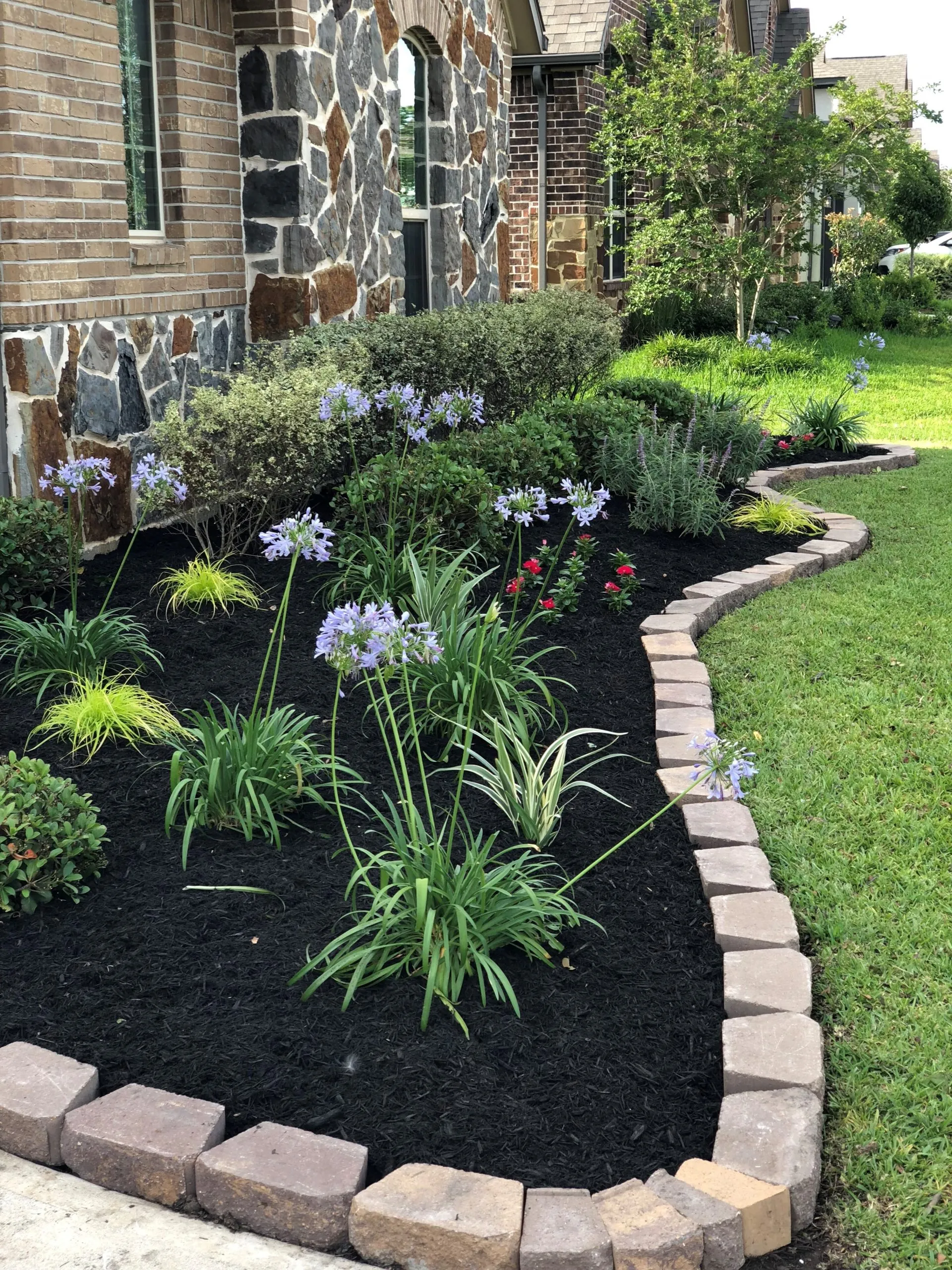 Landscape Cleanups project 6 in North Richland Hills
