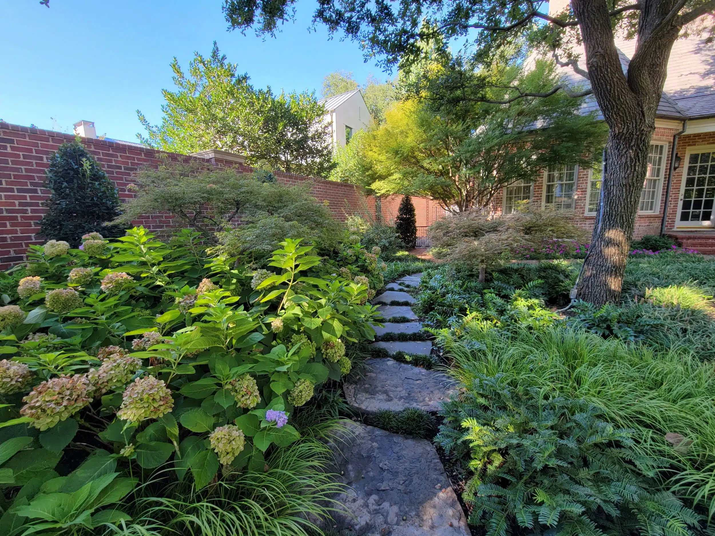 Softscaping project 1 in North Richland Hills
