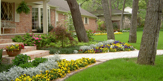 Complete Landscape Renovation