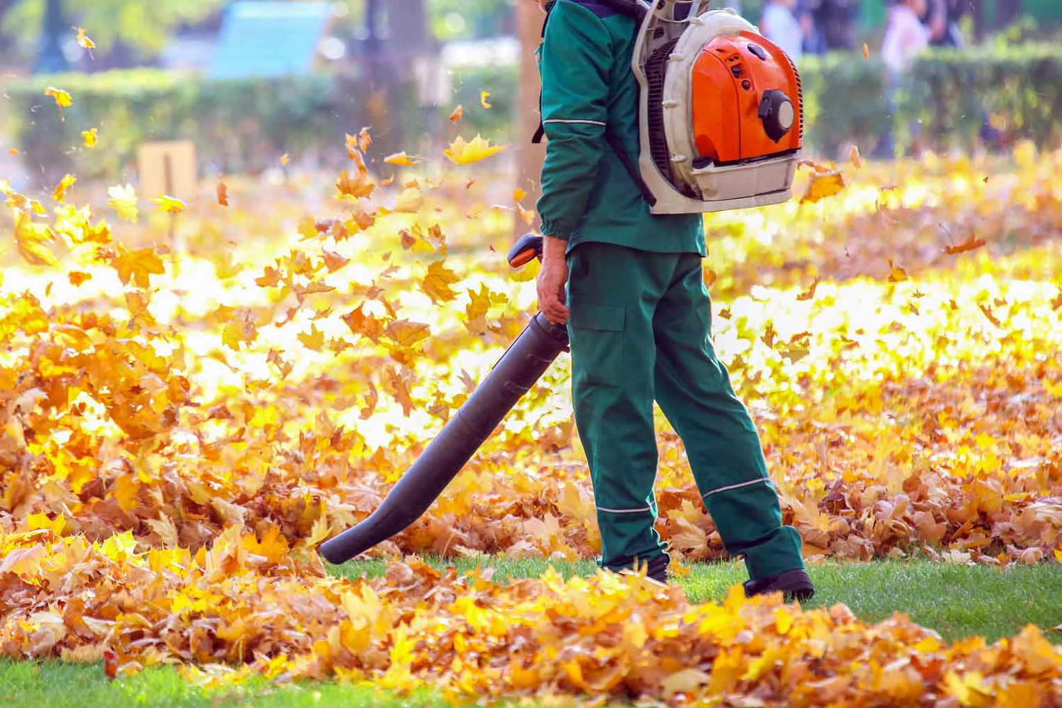 Leaf Cleanup project 2 in North Richland Hills