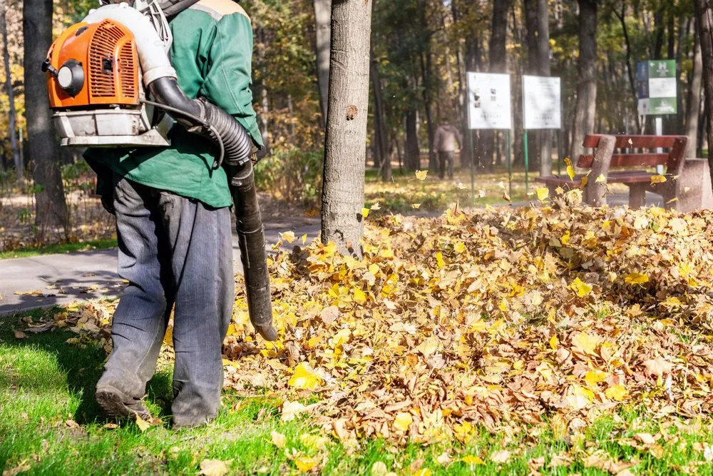 Leaf Cleanup project 5 in North Richland Hills